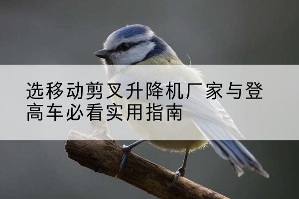 沙湾电动升降机厂家-选移动剪叉升降机厂家与登高车必看实用指南