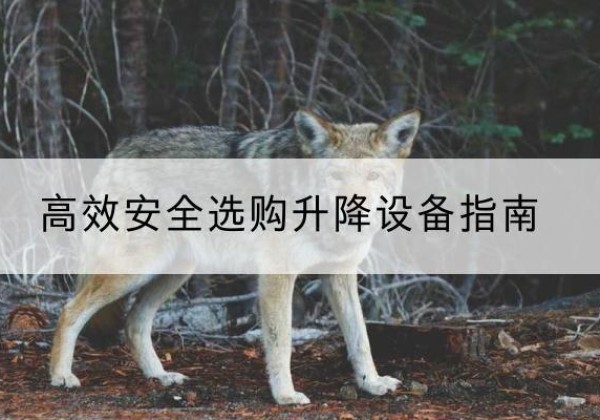 沙湾升降货梯厂家推荐-*安全选购升降设备指南